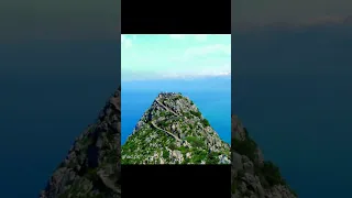 نوفمبر جل جلالك فينا Shorts الجزائر فلسطين جزائسطين 