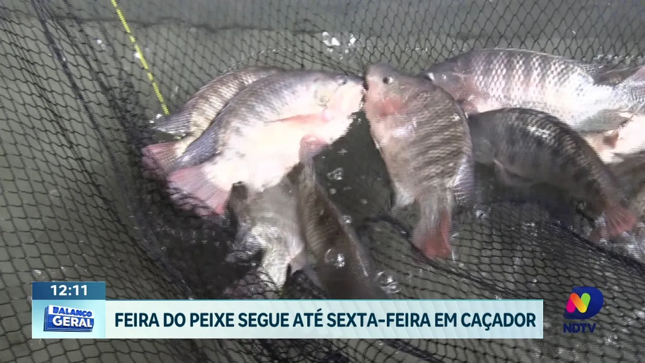 Tradição e sabor: Feira do peixe vivo começa em Caçador