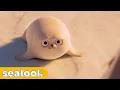 Download Lagu What’s Your Mood Today?ㅣSEALOOKㅣEpisodes Compilation