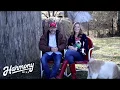 Harmony Hill Farms Craigslist Goats - What to Watch Out For