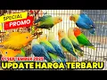 Download Lagu UPDATE HARGA LOVEBIRD TERBARU BULAN SEPTEMBER 2025