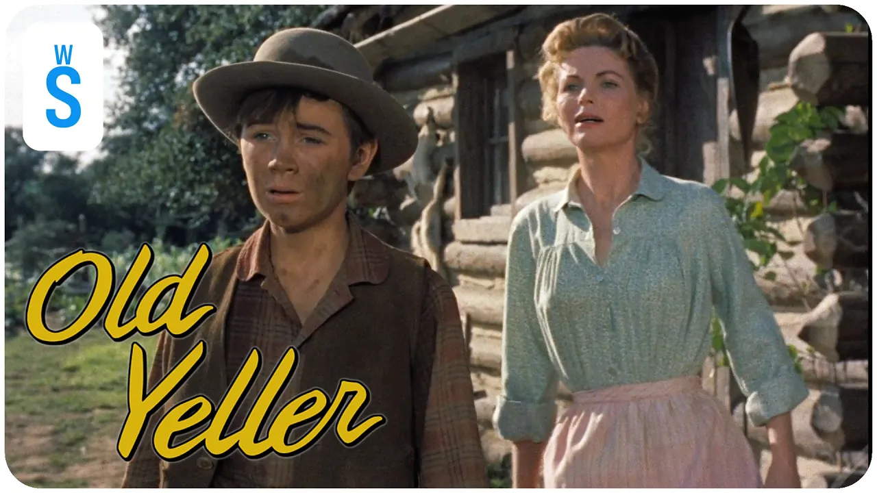 Old Yeller (1957) | Scene: That Old Stray