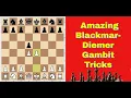 Lagu Amazing Blackmar-Diemer Gambit Tricks | Tricks, Traps And Blunders 47