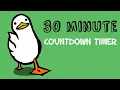 Download Lagu 30 minute countdown timer | walking duck