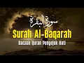 Lagu SURAH AL BAQARAH | Devil Run Away from Home | Calming the Heart and Mind | Mansour Ali