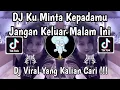 Download Lagu DJ KU MINTA KEPADAMU JANGAN KELUAR MALAM INI | DJ CINTA TERLARANG VIRAL TIKTOK TERBARU 2025 !