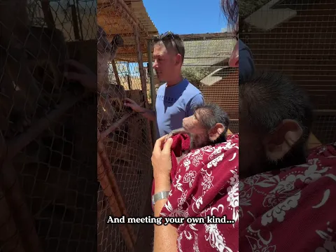 A second chance at life for rescue baby Zara ππ»β€οΈππ» #animals #animalshorts #amazing #wildlife