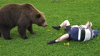 喧嘩してる動画にクマ映ってました。