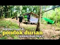 Warga dayak bajare menunggu durian runtuh dipondok tengah hutan