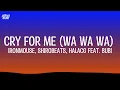 Lagu Cry For Me (WA WA WA) (feat. Bubi) - IRONMOUSE (Lyrics)