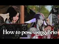 How to pose using Brio