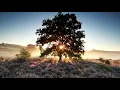 James Last -The Lonely Shepherd