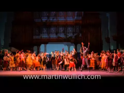 DON QUIJOTE 2013 - BALLET TEATRO COLu00d3N - www.martinwullich.com