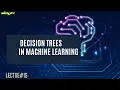 Decision Trees Algorithm in Machine Learning Lecture 15