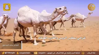انا شف بالي شوفة الوضح يافهاد الشاعر خالد المذعور 
