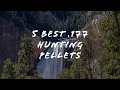 5 Best 177 Hunting Pellets