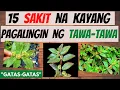 TAWA-TAWA -  mga SAKIT na kayang pagalingin at BENEPISYO sa KATAWAN| GAMOT, LUNAS sa KARAMDAMAN