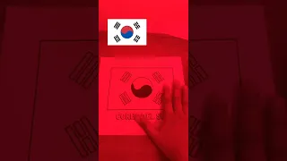 COLOREANDO LA BANDERA DE COREA DEL SUR 🇰🇷 🐯 CON LUCES LED 💡🔥 #shortsvideo #coreadelsur