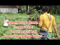 Download Lagu Panen Bunga Ratna