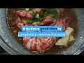 Can Dogs Eat Shrimp ANSWERED