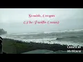 Seaside Tide