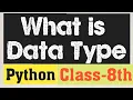 Data Type Python Class 8Th Python Programming Class 8th