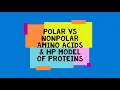 amino acids classification polar vs nonpolar amino acids HP model of proteins scitechtrends