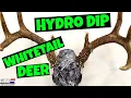 HYDRO DIP WHITETAIL DEER SKULL MOUNT - Proveil Camo