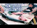Learn how to easily filet a Yellowtail