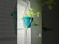 The easiest macrame plant hanger in 5min