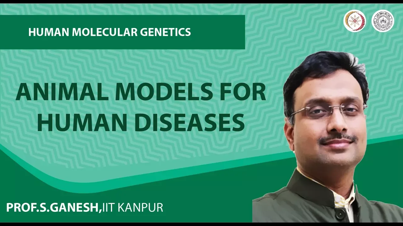 Animal Models for Human Diseases