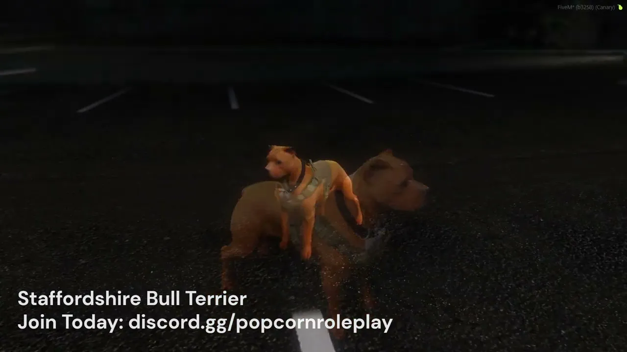 Staffordshire Bull Terrier