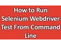 Run selenium script using batch file