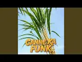 Download Lagu GANNE KA FUNK