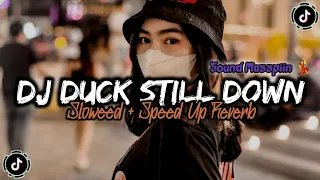 Download DJ Duck Still Down ( Sloweed \u0026 Speed Up Reverb )🎧 MP3