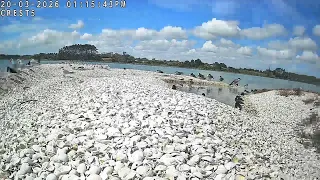SB High Tide
