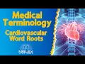 Medical Terminology - Cardiovascular Word Roots