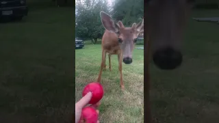 Https Www Facebook Com Share R 1aKzLZJNyQ  Https Www Facebook Com Share R 1aKzLZJNyQ