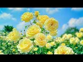 Soft Music for Inner Peace Cures for Anxiety Disorders Depression Heal Mind and Soul