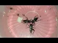 Download Lagu BAHAN JANGKRIK GACOAN, #subscribe #trending #jangkrik #cricket #vidiotrending #viralvideo #fyp