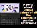How to check unique values of all the columns in pandas Dataframe