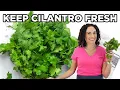 How to Keep Cilantro Fresh No More Wilted Leaves