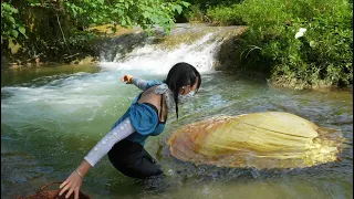 😱 Pure luck leads her to find glowing pearls inside a huge mutated river clam by the shore