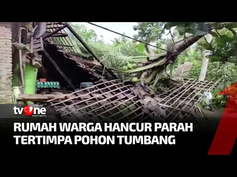Pohon Kelapa Timpa Rumah usai Diterpa Angin Kencang