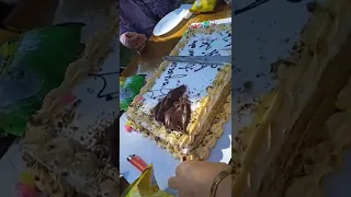 عيد ميلاد سعيد ملاك كل عام وانت بالف خير يا عينيا الحلو التقبة ل100سنة و200سنة 