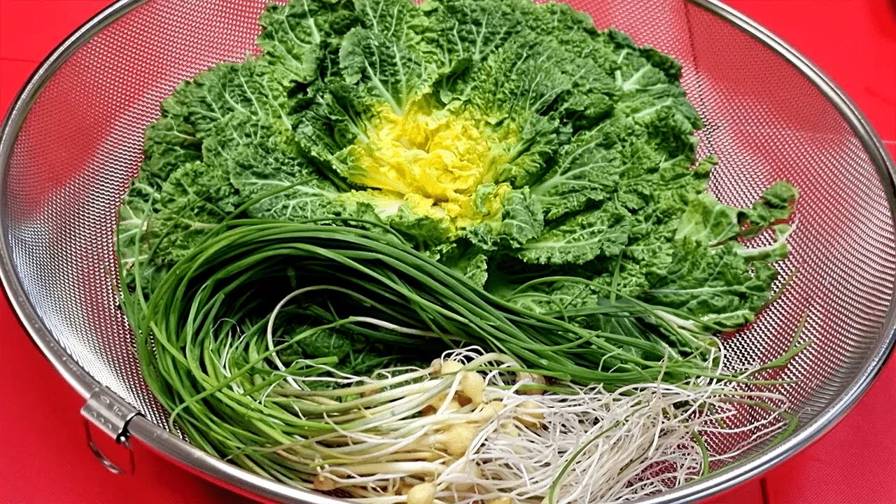 달래 봄동 겉절이