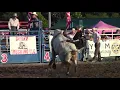 Lawrence county rodeo 2