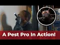 A Pest Pro In Action