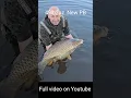 49lb2oz PB Common Carp! Full video on our YouTube channel now! #carpfishing #carp #fishing #carplife
