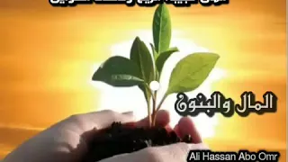 تتر المال والبنون المال تجيبه الريح وتاخده الهوايل   أما البنون يوم الحساب بيفتونا على الحجار دندنها